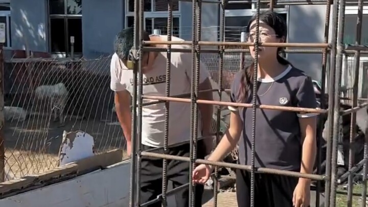 这下我真得想想办法怎么出去了