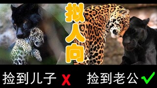 【拟人向】不要轻易在外面捡崽子回家~