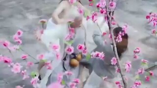 after the flash married