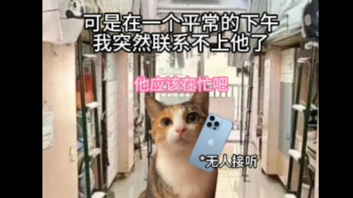 如果时光能倒流就好了