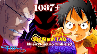 [One Piece 1037+]. Tên thật của Trái Gomu Gomu? Sức Mạnh khiến Ngũ Lão Tinh e sợ?