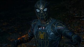 Spider-Man_ No Way Home (2021)