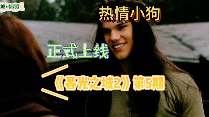 贝拉：分开就分开，小狼人更乖（有未播内容）——过度解读《暮光之城2》5
