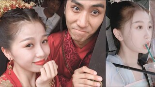 [Yu Shuxin’s Heart/Growth] Passing by the World｜People Should Have Illusions About Love and Forever