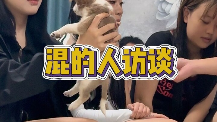 精神小妹多人合租一间日租房居然还得养条狗？