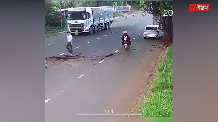 Gặp thân cây cổ thụ nằm 'CHỀNH ỀNH' giữa đường, 'SOÁI CA' sơ mi có hành động đẹp