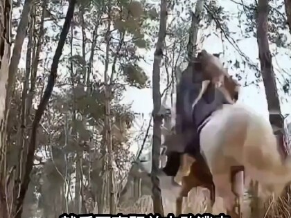 Sui and Tang Heroes: Luo Cheng Oversees the Execution of Shan Xiongxin