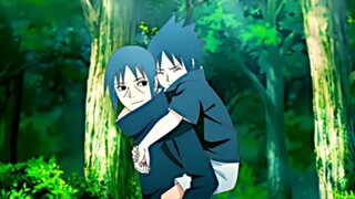 "Những hình ảnh đó đã biến mất mãi mãi."