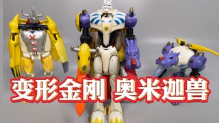 变形金刚  也是个 数码宝贝  合体进化 奥米加兽【使者讲模型】