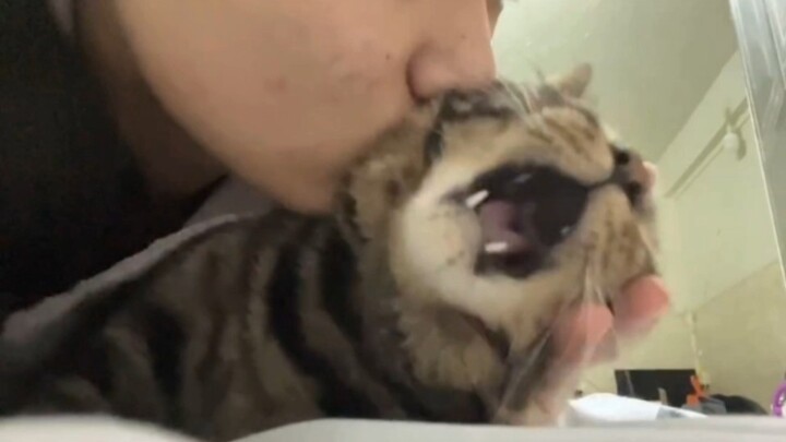 Cat: You’d better not close your eyes when you sleep at night...