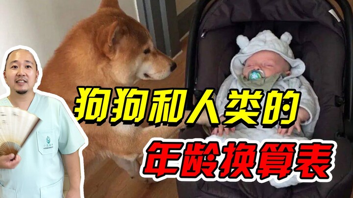 Dog Age Conversion Chart: Your Dog Might Be Older Than You!