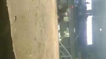 mayahin in action...#colesiodemanila#4m'sgamefowl...win uli nga boss