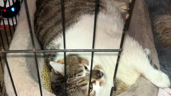 แต่ฉันไม่อยากจับคุณ