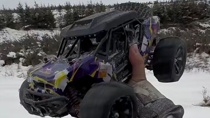 An attitude of yearning for freedom！