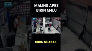 Maling apes Bikin Ngakak #shorts