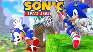 Funny moments in Sonic Speed Simulator Vol-1