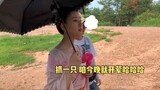 [The rumored Chen Qianqian behind-the-scenes] The third princess chases the ducks