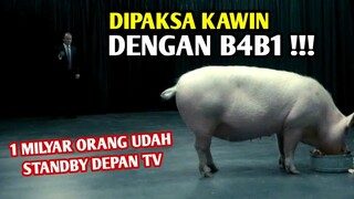 PEJABAT INI DIPAKSA MENGKAWINI SEEKOR BABI SAMBIL LIVE DAN DISAKSIKAN 1 MILYAR ORANG