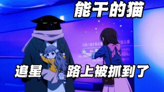 七月新番：会踩缝纫机还会追星  这猫比女主还像个人