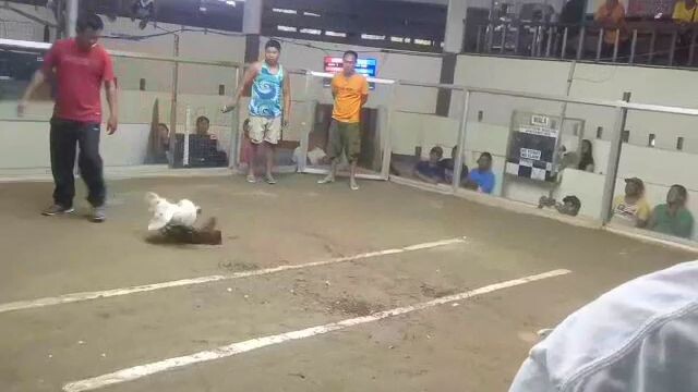 white Boston June Sevilla line