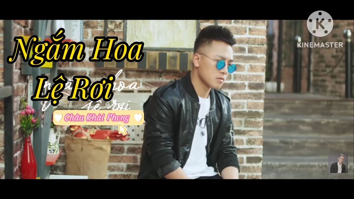 Ngắm Hoa Lệ Rơi