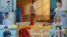 The Sand Flower (2023) - Episode 12