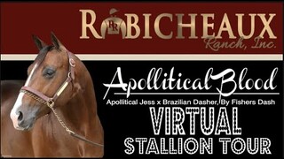 2022 Virtual Stallion Tour: Apollitical Blood