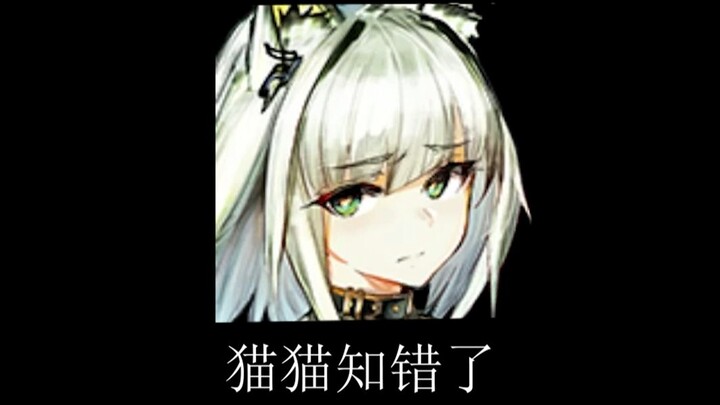 Old lynx with rich expression.jpg