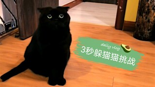 3-second hide-and-seek challenge! The whole scene was a total mess! Hahaha...