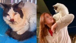 A Girl Adopt An Injured CAT From Her Neighborhood Group And Gives Her A Second Chance - Save Cat Lif