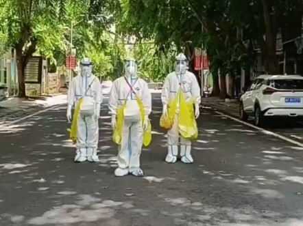 Tổng hợp video gà Dingdong kinh điển