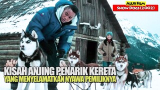 Kisah Anjing Kereta Salju Yang Menyelamatkan Nyawa Pemiliknya | Alur Cerita Film SNOW DOGS (2002)