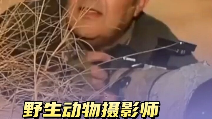 It turns out sincerity works even in the animal kingdom!