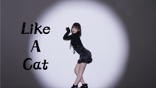【施可妍】❤️AOA-Like A Cat猫步轻悄翻跳