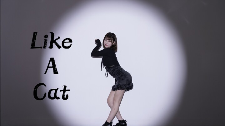 【施可妍】❤️AOA-Like A Cat猫步轻悄翻跳