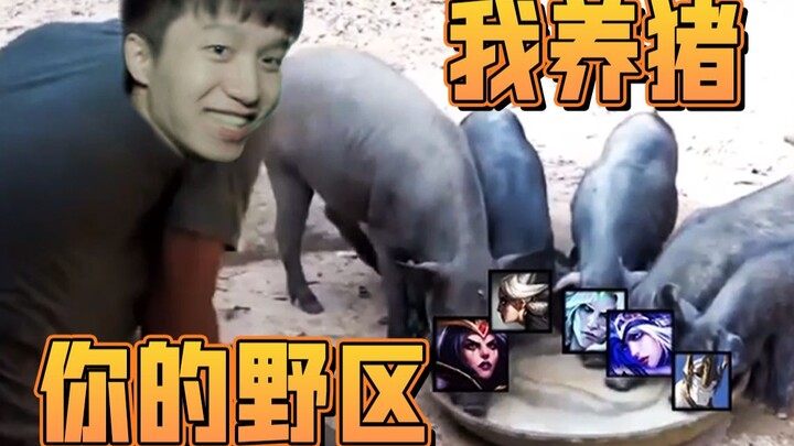 【สตรีมสด EDG.Clearlove】: ป่าของคุณผมเลี้ยงหมู