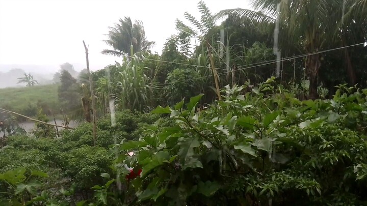 malakat Ang ulan