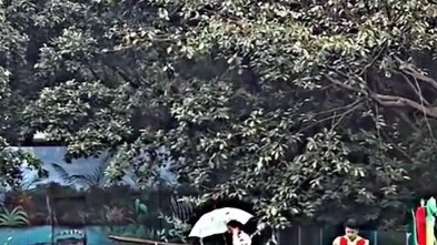 Buaya: Prasangka dalam hati manusia ibarat sebuah gunung besar