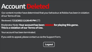 This Roblox Game DELETES Your Account