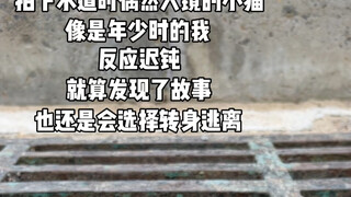 下水道的小猫，是一场年少时的遇见