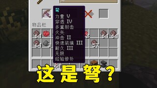 你跟我说这是弩？附魔快要装不下了！