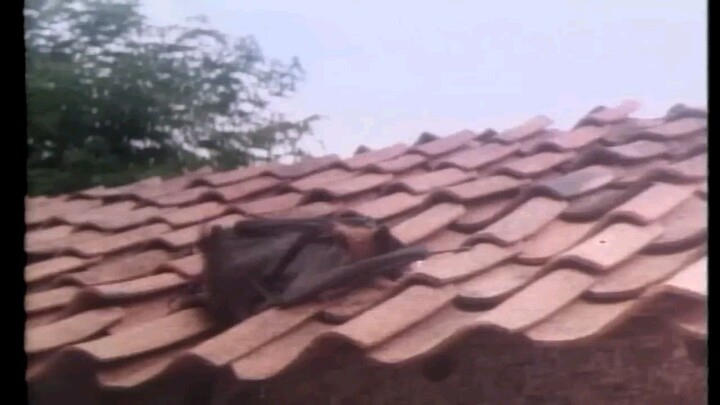 hamil melahirkan di gubug