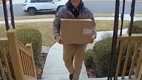 delivery guy got attacked by a cat hilarious moment sora 2