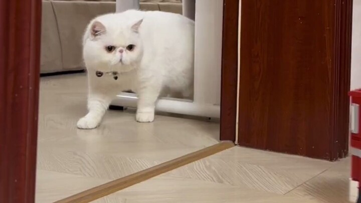 عدتُ أخيرًا! سأستعيد كلّ ما يخصني وأنا أستحقه!