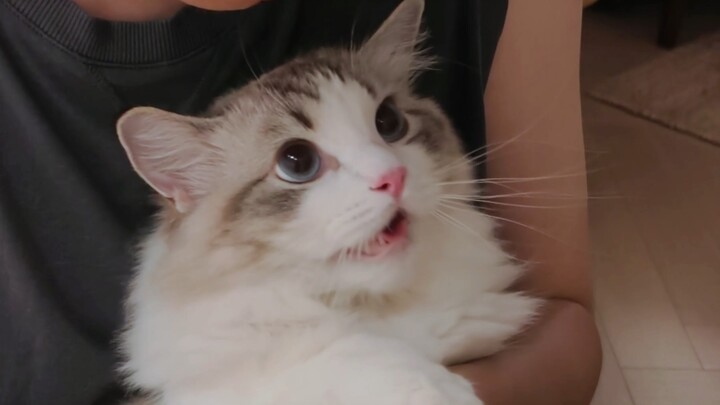 爸爸我不想剪指甲