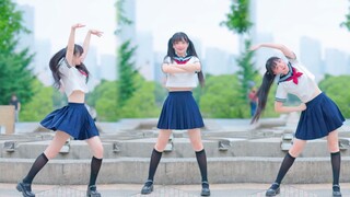 ความน่ารักของการโจมตีคริติคอล ~ มอนสเตอร์ยิมนาสติกก่อน! 【แมวเค่อซิน】
