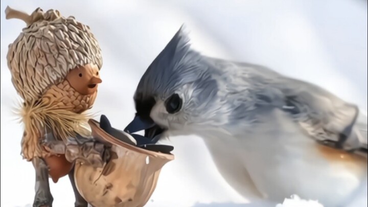 “Funny Moments Between Acorn Man and Little Animals”