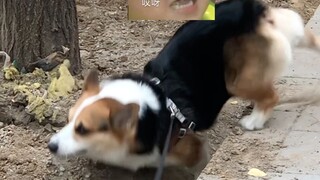 ฉันไม่ได้ชื่อว่าระเบิดเหม็น