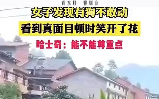 Dog: I think you’re being a bit disrespectful to dogs.