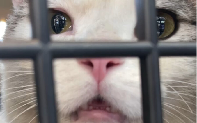 เดือนแรกที่เพิ่งเก็บเกี๊ยวมาได้